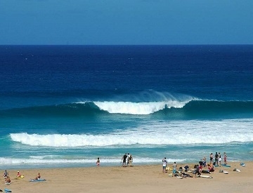 Surf the Canary Islands