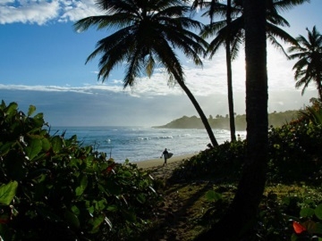 Surfing Dominican Republic