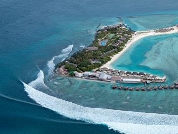 Surfing Maldives