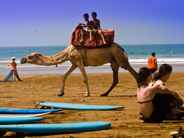 Surfing Morocco