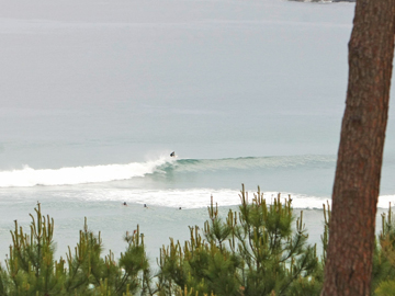 Surfing Spain