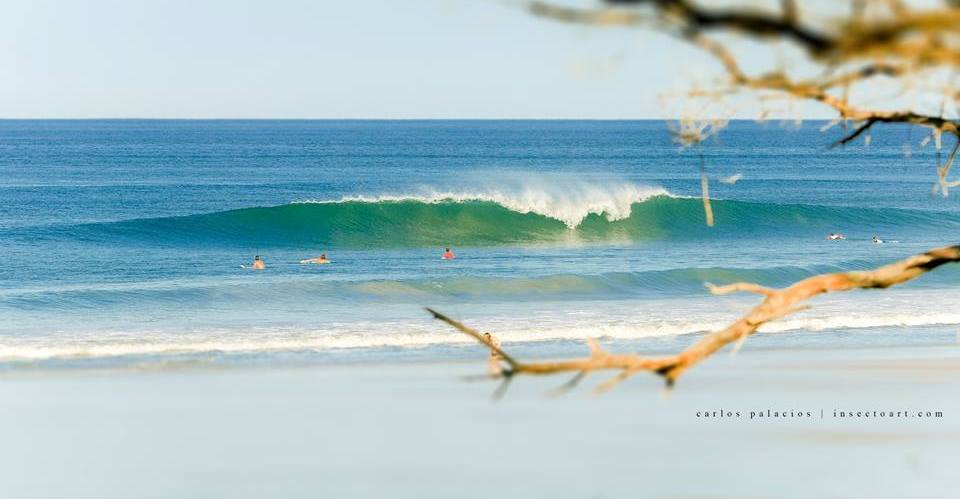 Surf Blog - Top 5 Beginner Surf in Costa Rica