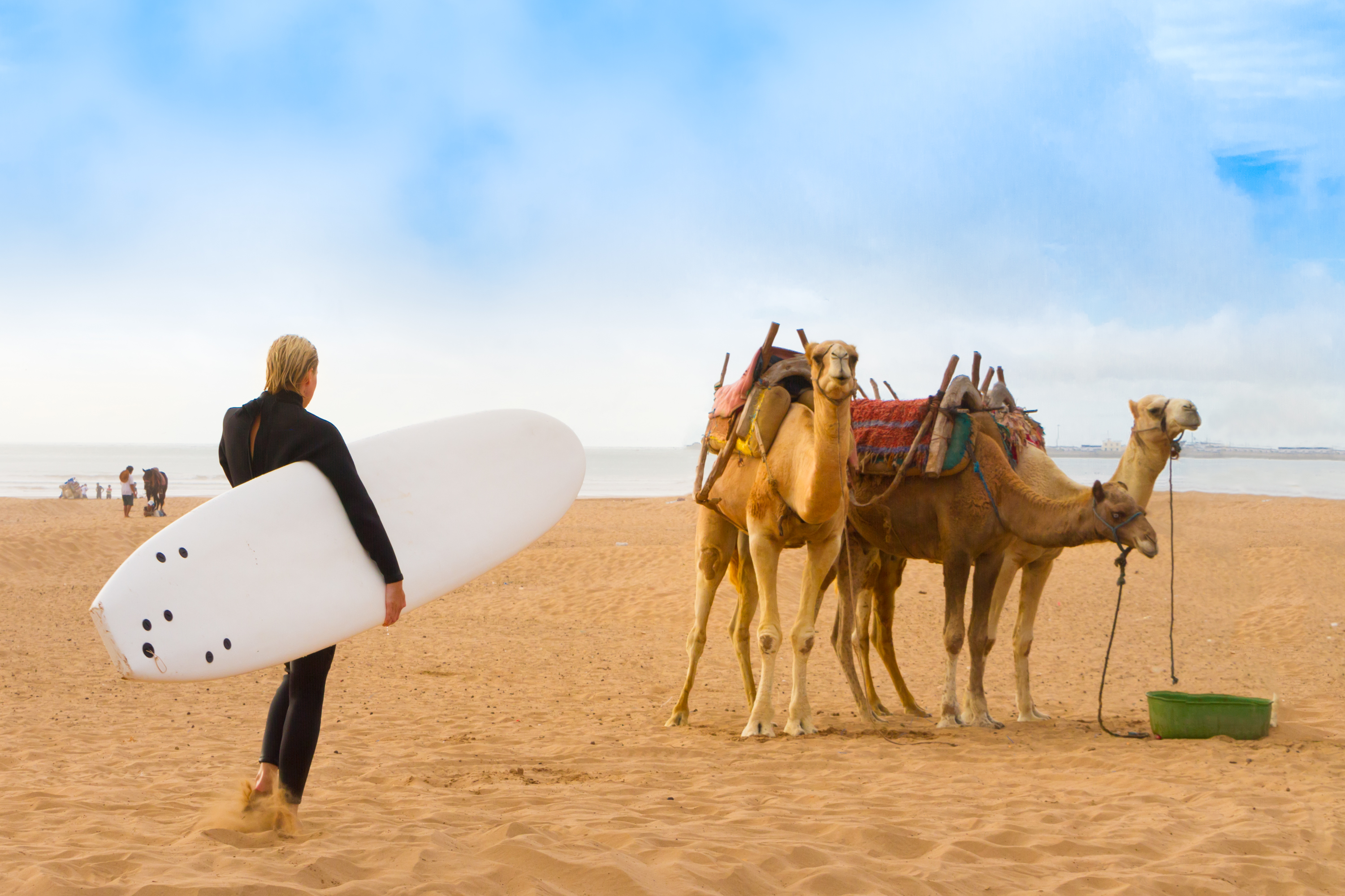 surfing in Morocco 