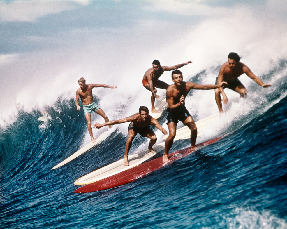 Surf Blog - or Shortboard?