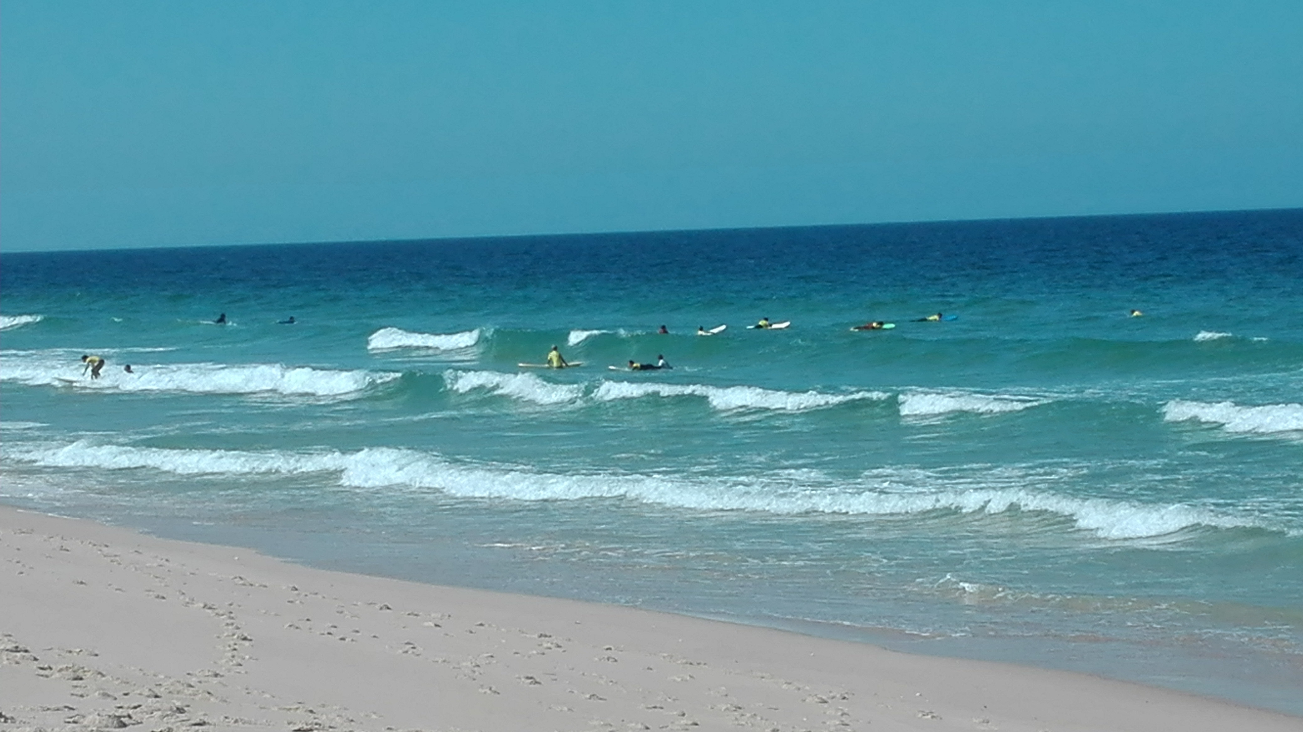 Comporta/Carvalhal