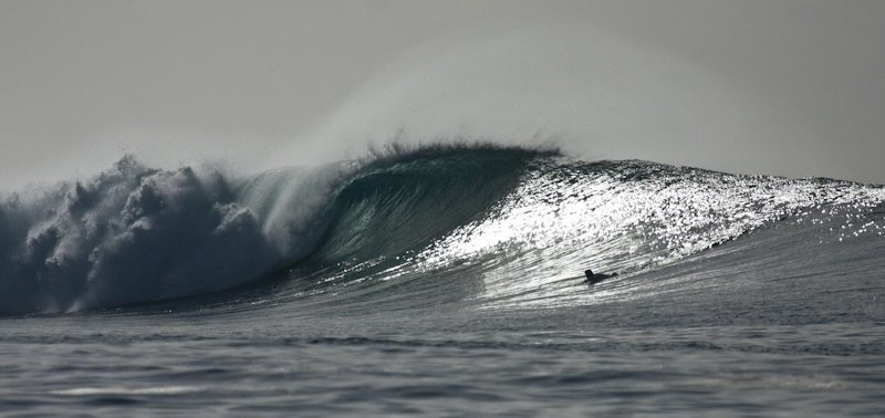 Honky's - North Maldives