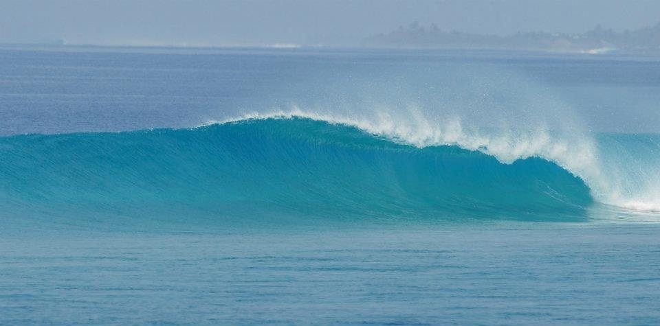 Coke's - North Maldives