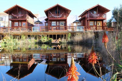 Lodge