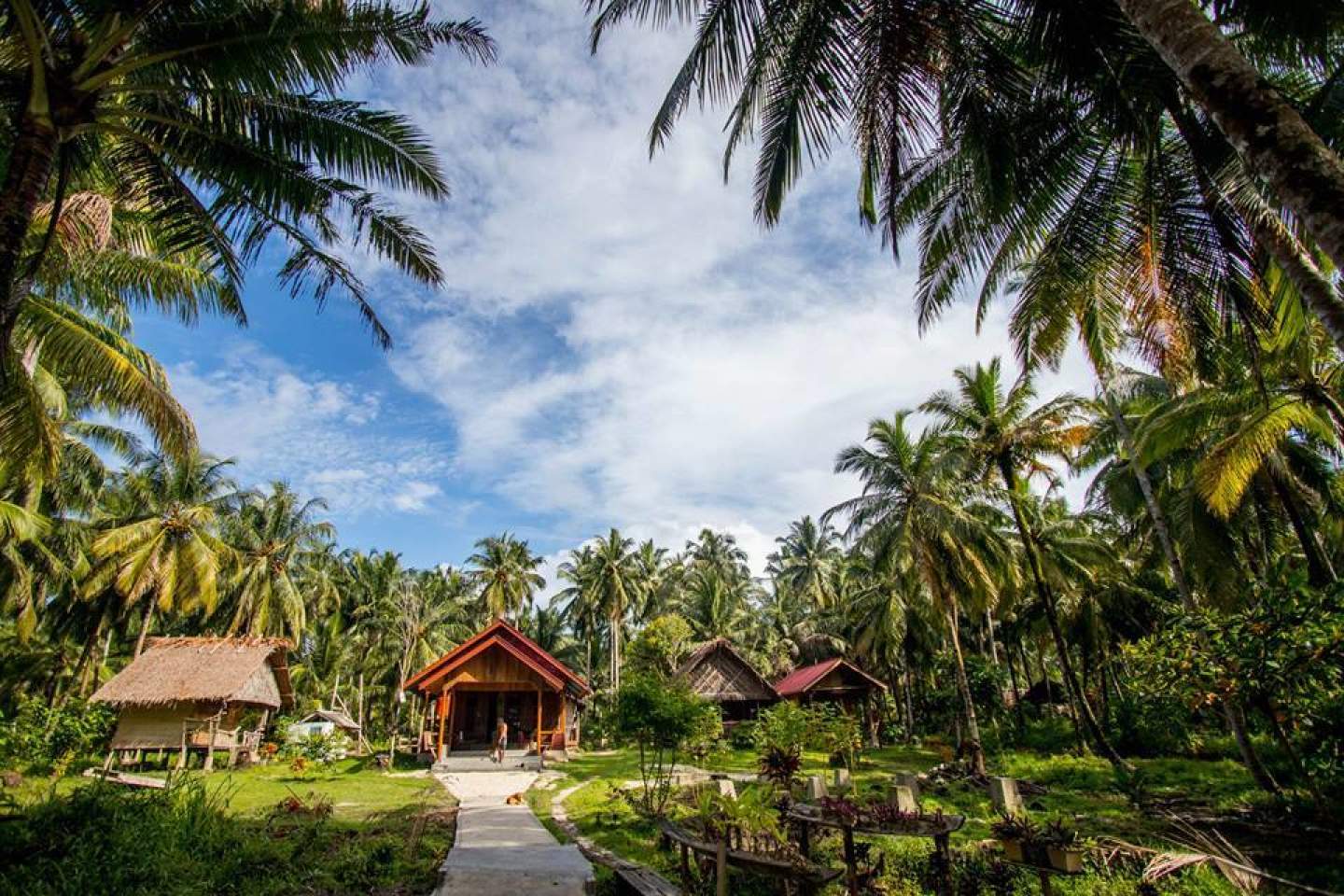 Surf Holidays Accommodation Search in Mentawai Islands 